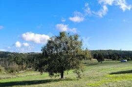 ISTRA, TINJAN - Kombinacija građevinskog i poljoprivednog terena!, Tinjan, Tierra