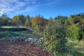 ISTRA, ŽMINJ - Prostrano građevinsko zemljište na mirnoj lokaciji, Žminj, Zemljište