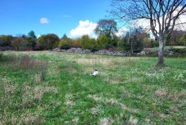 ISTRA, ŽMINJ - Građevinsko zemljište na mirnoj lokaciji, Žminj, Land