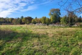 ISTRA, ŽMINJ - Građevinsko zemljište na mirnoj lokaciji, Žminj, Land