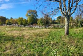 ISTRA, ŽMINJ - Građevinsko zemljište na mirnoj lokaciji, Žminj, Land