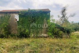 ISTRA, ŽMINJ - Kuća na osami na prostranoj okućnici, Žminj, Haus