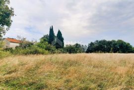 ISTRA, ŽMINJ - Kuća na osami na prostranoj okućnici, Žminj, Haus