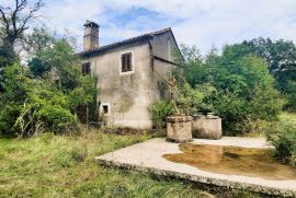 ISTRA, ŽMINJ - Kuća na osami na prostranoj okućnici, Žminj, Haus