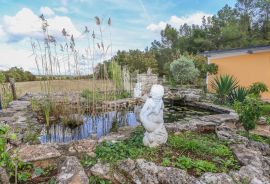 Rovinj, okolica, šarmantna kamena kuća, Rovinj, Σπίτι