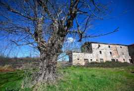 ISTRA, VIŽINADA Tražite istarsku stanciju? STOP!, Vižinada, Casa