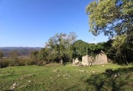 Boljun, okolica, kamena kuća za adaptaciju, Lupoglav, House