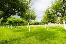 GORSKI KOTAR, BROD NA KUPI - Građevinsko zemljište sa voćnjakom uz rijeku, Delnice, Tierra