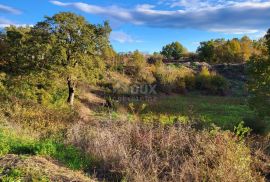 ISTRA, KANFANAR - Prostrano građevinsko zemljište, Kanfanar, Terrain