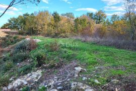 ISTRA, KANFANAR - Prostrano građevinsko zemljište, Kanfanar, Terra