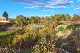 ISTRA, KANFANAR - Prostrano građevinsko zemljište, Kanfanar, Terra