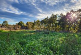 ISTRA, KANFANAR - Prostrano građevinsko zemljište, Kanfanar, Terra