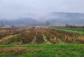 ISTRA, PIĆAN - Prostrano poljoprivredno zemljište, Pićan, Γη