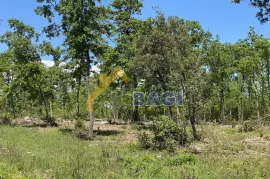 PERUŠKI - građevinska parcela sa pogledom na more, Marčana, Terra