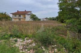 PRODAJA, GRAĐEVINSKO ZEMLJIŠTE, FILIPANA, 1600 m2, Marčana, Земля