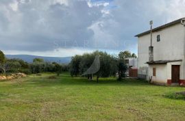 EKSKLUZIVNA PRODAJA, KUĆA, RAKALJ, 3.000 M2, Marčana, House