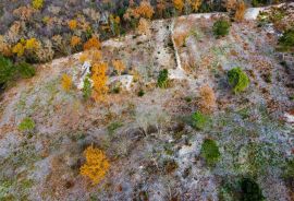 GRAĐEVINSKO ZEMLJIŠTE, PRODAJA, TRGET, 1582 m2, Raša, Land