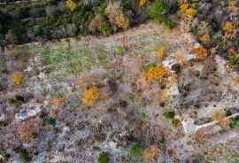 GRAĐEVINSKO ZEMLJIŠTE, PRODAJA, TRGET, 1582 m2, Raša, Land