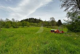 PRODAJA, KUĆA, PODPIĆAN, 150 m2, Pićan, Kuća