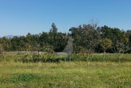 PRODAJA, POLJOPRIVREDNO ZEMLJIŠTE, BIBIĆI, 1100 M2, Svetvinčenat, Tierra