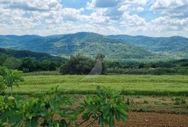 PRODAJA, GRAĐEVINSKO ZEMLJŠTE, MOTOVUN, 1.100 M2, Motovun, Land