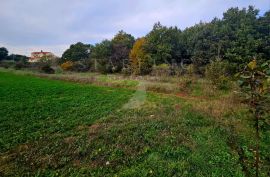 PRODAJA, GRAĐEVINSKO ZEMLJIŠTE, VALBANDON, 805 m2, Fažana, Land