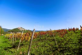 Istra, Motovun građevinsko zemljište ispod starog grada, Motovun, Terreno