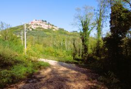 Istra, Motovun građevinsko zemljište ispod starog grada, Motovun, Terreno