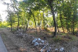 ISTRA, MOTOVUN - Prostrano zemljište s građevinskom dozvolom, Motovun, Land