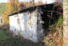 Pićan, okolica kuće na prostranom imanju, Pićan, House