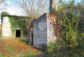 Pićan, okolica kuće na prostranom imanju, Pićan, House