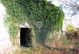 Pićan, okolica kuće na prostranom imanju, Pićan, House