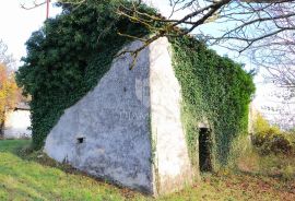 Pićan, okolica kuće na prostranom imanju, Pićan, House