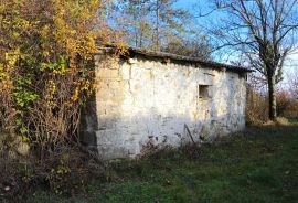 Pićan, okolica kuće na prostranom imanju, Pićan, House