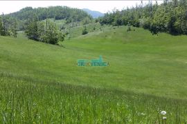 LEPENICE - 19 000 m2, Jelenje, Terra