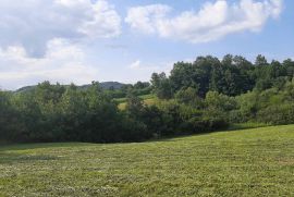 Prodaja placa-selo Tijanje+vodenica, Lučani, Terrain