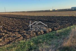 Krnješevci - Milšped - 89a ID#19067, Zemun, Land