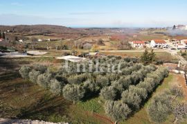 Građevinsko zemljište s pogledom na more, Poreč, Land