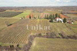 Posebno imanje s puno privatnosti u blizini Poreča, Poreč, Дом