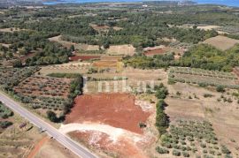 Zemljište za komercijalnu namjenu, Tar-Vabriga, Land