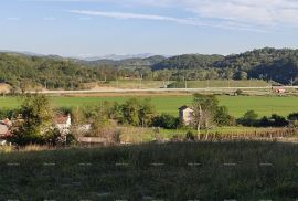 Kuća Prodaje se samostojeća kamena kuća, Cerovlje, Cerovlje, House