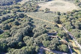 Belej, otok Cres - kameni objekt na prostranom zemljištu, Mali Lošinj, Kuća