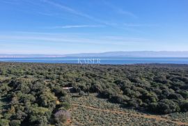 Belej, otok Cres - kameni objekt na prostranom zemljištu, Mali Lošinj, Kuća