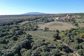 Belej, otok Cres - kameni objekt na prostranom zemljištu, Mali Lošinj, Kuća