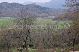 DONJI KOSINJ - obiteljsko gospodarstvo kuća, staja, drvarnica,voćnjak, Perušić, Σπίτι