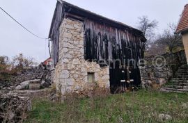 DONJI KOSINJ - obiteljsko gospodarstvo kuća, staja, drvarnica,voćnjak, Perušić, Σπίτι