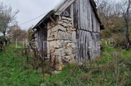 DONJI KOSINJ - obiteljsko gospodarstvo kuća, staja, drvarnica,voćnjak, Perušić, Σπίτι