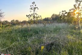 ISTRA, ŠIŠAN, GRAĐEVINSKO ZEMLJIŠTE NA RUBU NASELJA, Ližnjan, Land