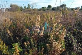 Kozjak,poljoprivredno zemljište na lijepoj lokaciji 1350 m2, Vir, Terra