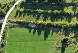 Istra - Oprtalj, građevinsko zemljište s projektom vile dvokatnice, Oprtalj, Terreno